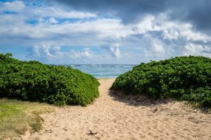 11 Best North Shore Oahu Beaches In Hawaii