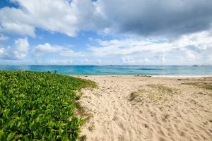 11 Best North Shore Oahu Beaches In Hawaii
