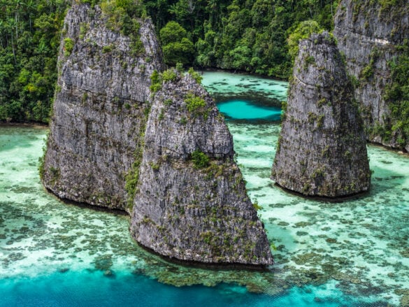 Shells From Misool Misool Travel Guide For Raja Ampat, Indonesia - INSPERIA Travel Agency