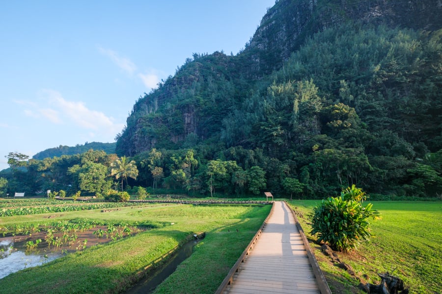 Planks and crops at the trailhead parking