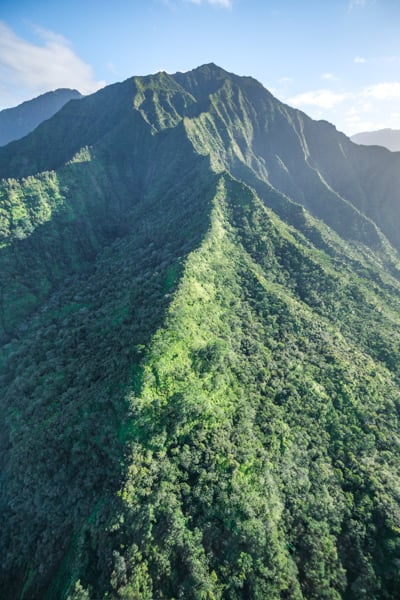 Slopes of Mount Waialeale from above