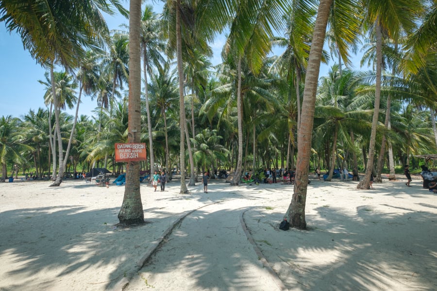Palm tree path at Ketawai island