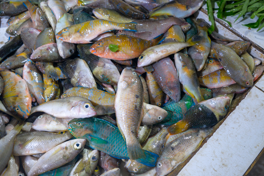 Fish for sale at the Pangkal Pinang morning market