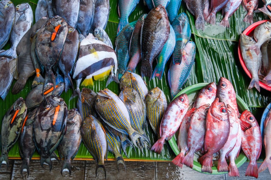 All kinds of fish for sale at the market