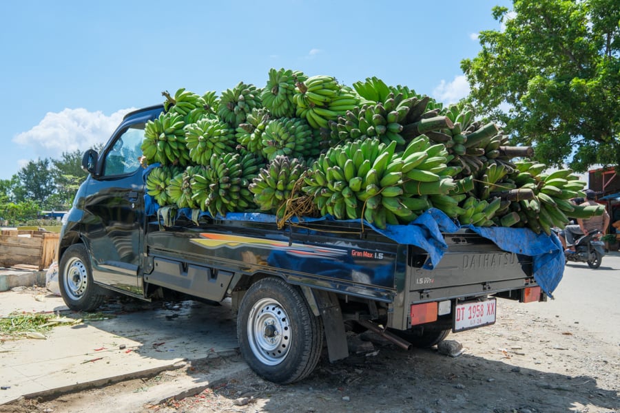 Truck full of green bananas at the market