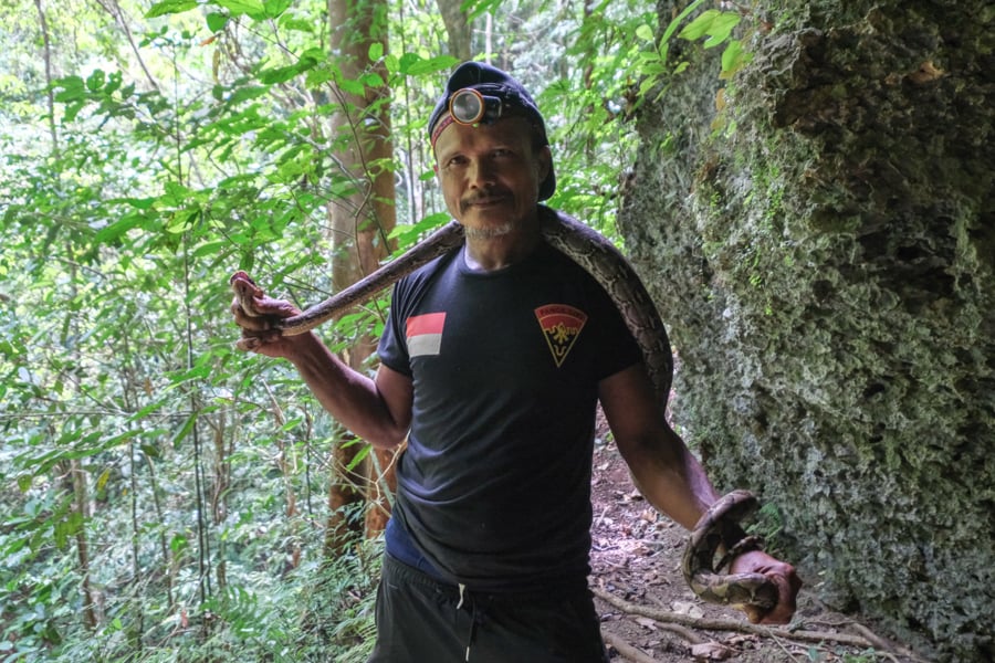 Jungle man catching a python at the Samparona waterfall cave