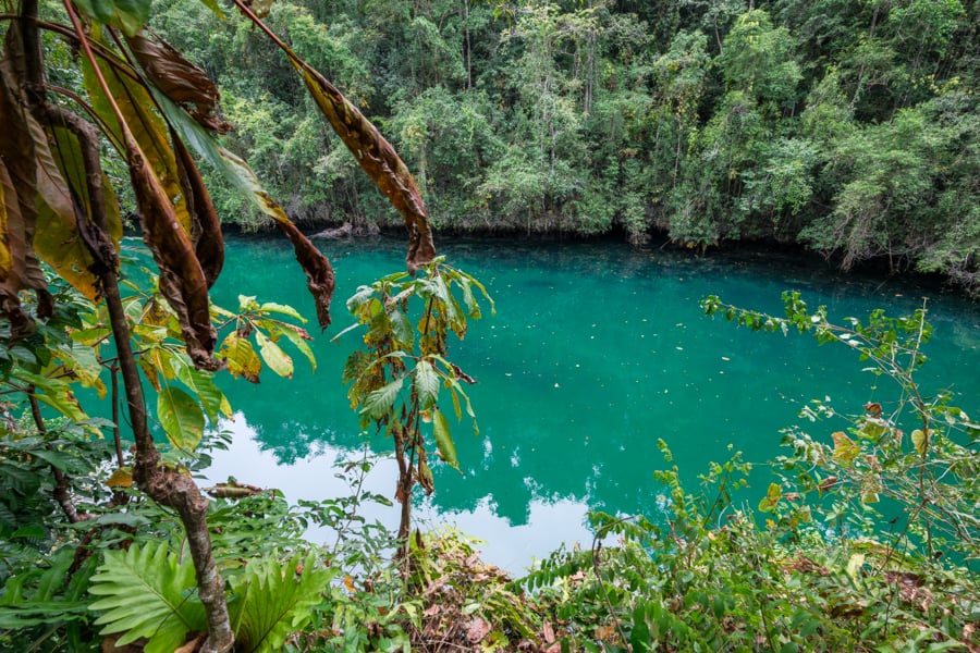 Looking down at jellyfish lake from above