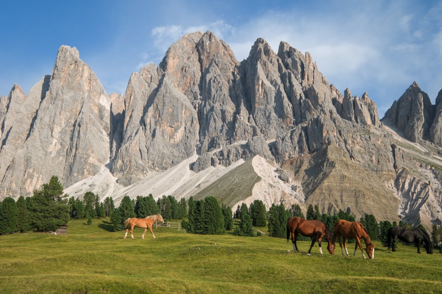 Mountain ranch with horses near Rifugio Odle Geisler Alm at Adolf Munkel